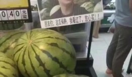 网红热瓜,揭秘网络红人的崛起与争议